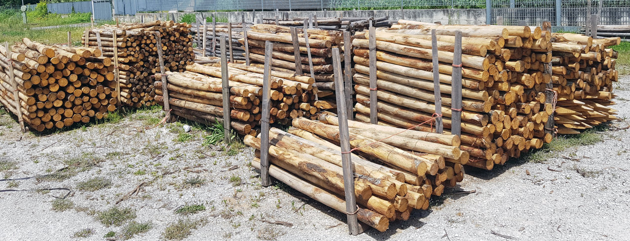 PALI CASTAGNO SCORTECCIATI